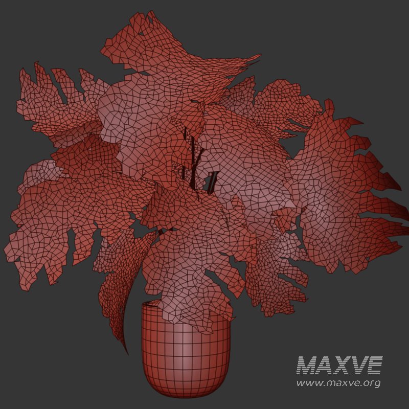 Indoor plant 014 - Image 4