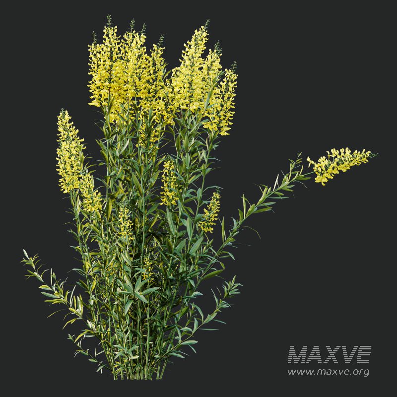 ntal form with architectural realism, ideal for photorealistic renders and naturalistic environments. - Image 11