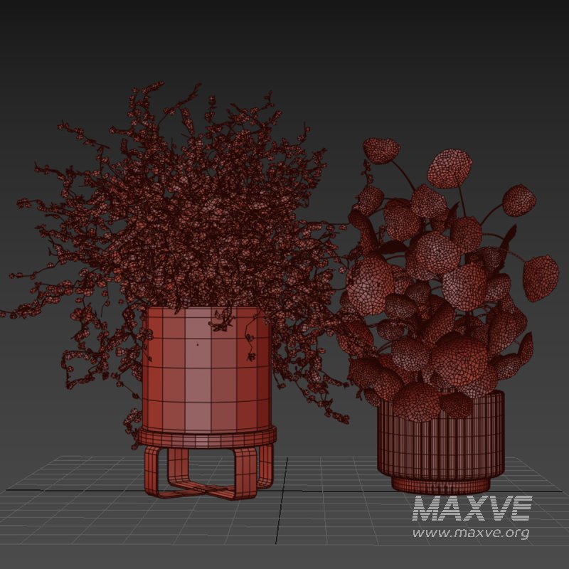 Indoor plant 011 - Image 4