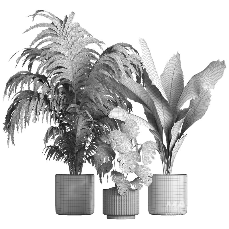 indoor plant 034 - Image 6