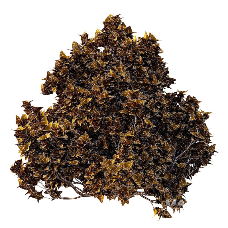 Different bush 26 - Image 6