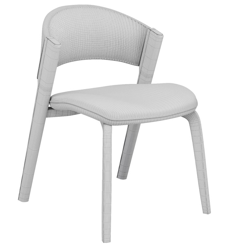 Amely dinnig chair - Image 4