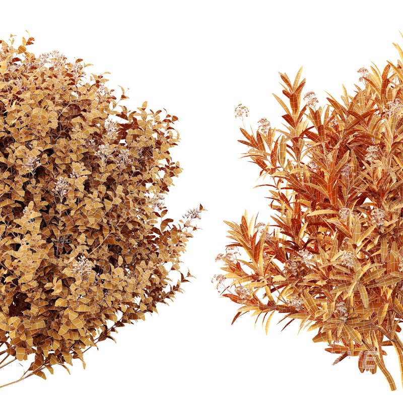 ntal bushes are ideal for Mediterranean-style gardens, urban landscaping, or natural architectural visualizations. - Image 5