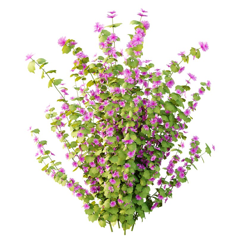 Different bush 17 - Image 3