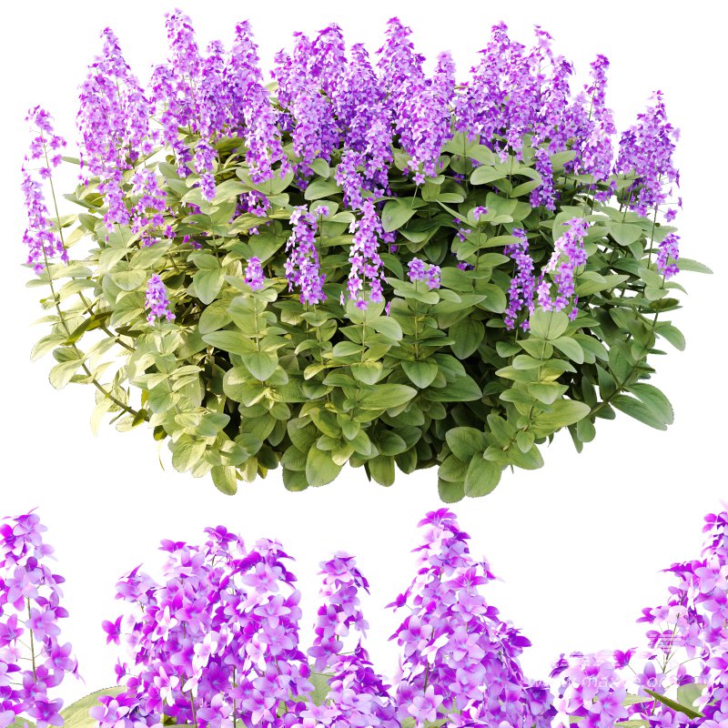 Different bush 10 - Image 1