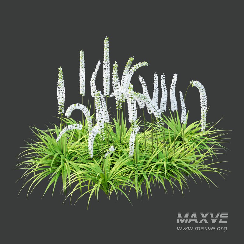 5 Different Model - Image 1