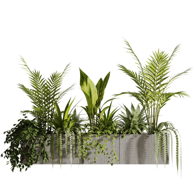 Indoor plants- Hanging Plants in Box- set177 - Image 1