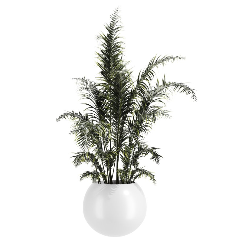 Indoor Plant Set 003 - Image 4