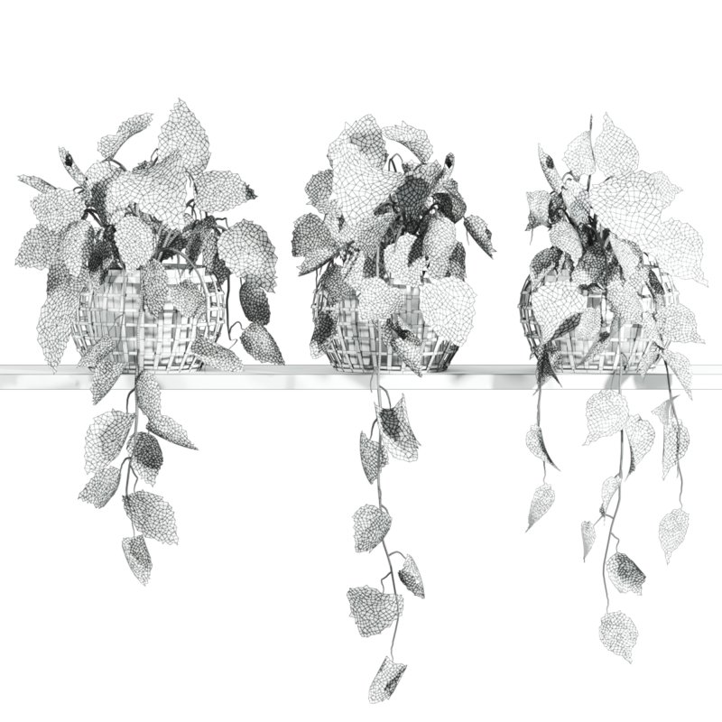 plants set on shelf - Image 4