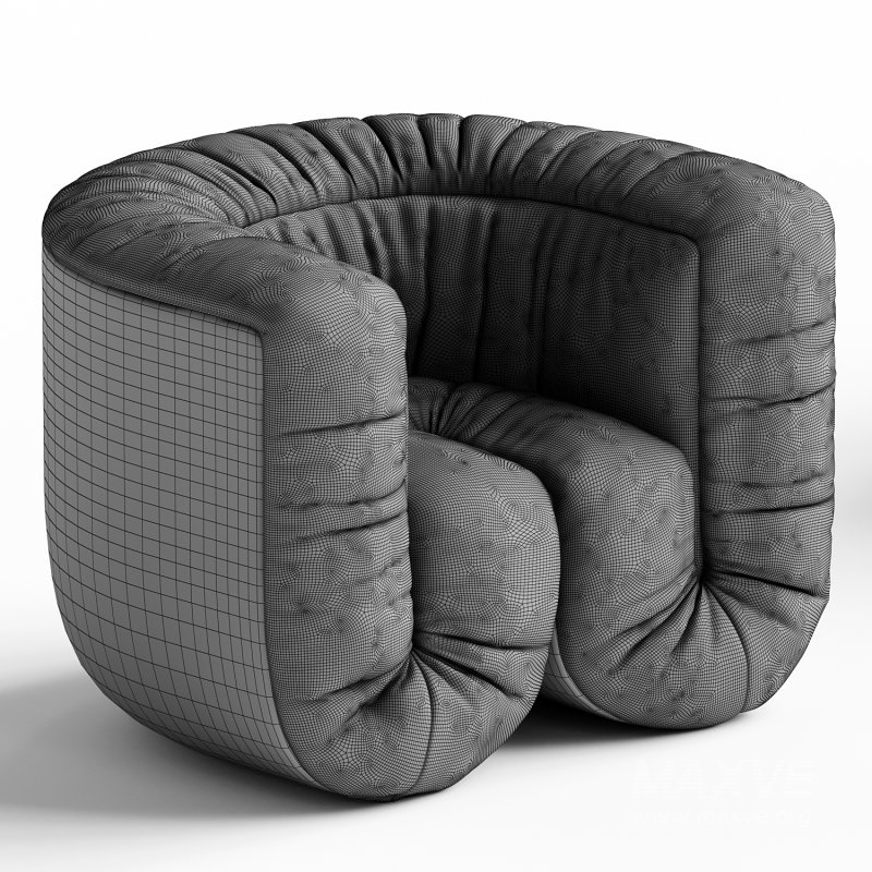 de Sede Ds 707 Armchair - Image 3