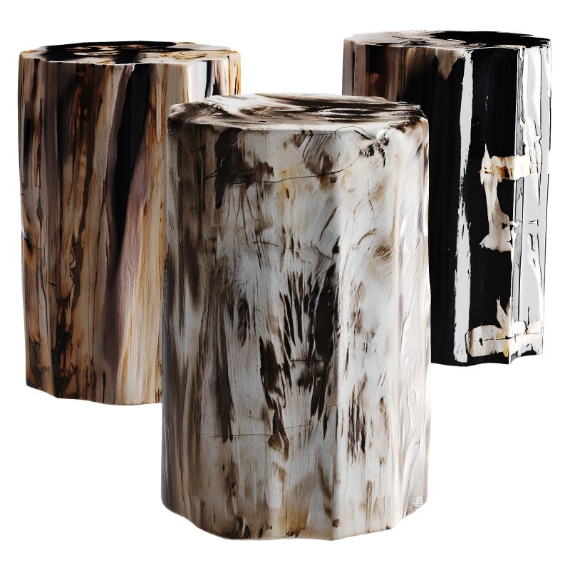 Petrified Wood Side Table - Image 3