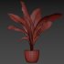 indoor plant 025 - Thumbnail 4