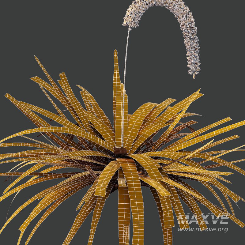 5 Different Model - Image 5