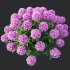 ntal richness. The Rhododendrons burst with densely packed floral spheres in rich pink, purple, and blue tones, while the Crape Ginger displays upward-pointing crimson buds atop lush, lance-shaped foliage. - Thumbnail 8