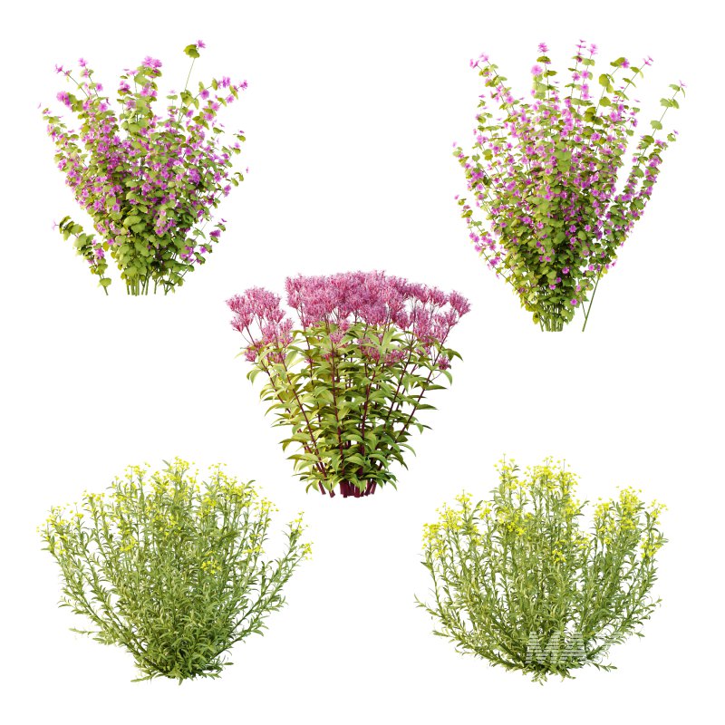 Different bush 16 - Image 5