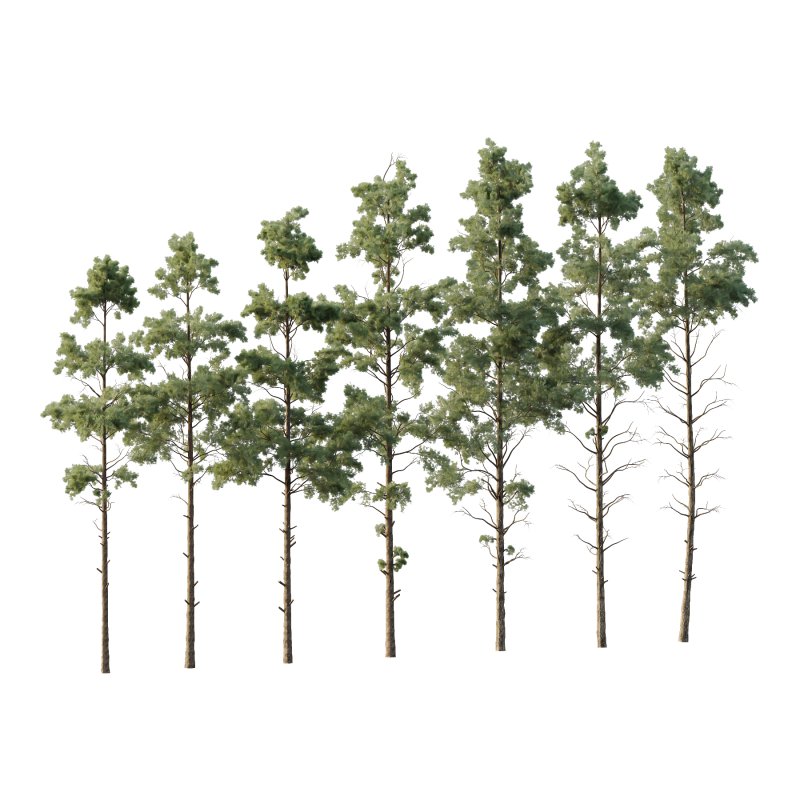 Pin Tree 002 - Image 5