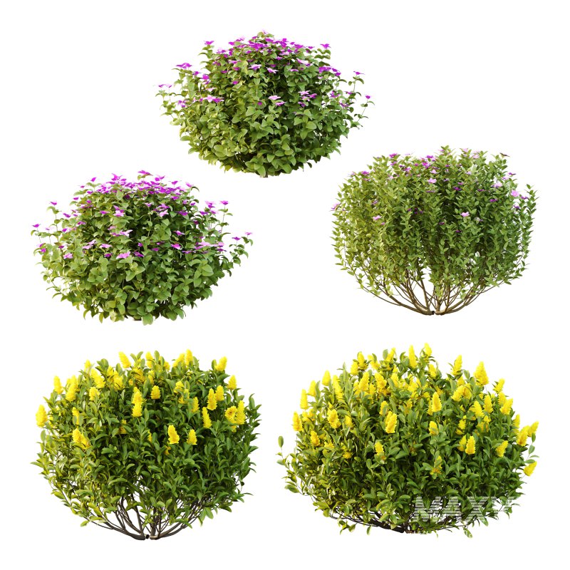 Different bush 24 - Image 1