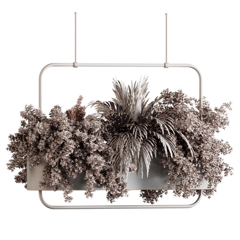 Indoor plants- Hanging Plants in Box- set178 - Image 2