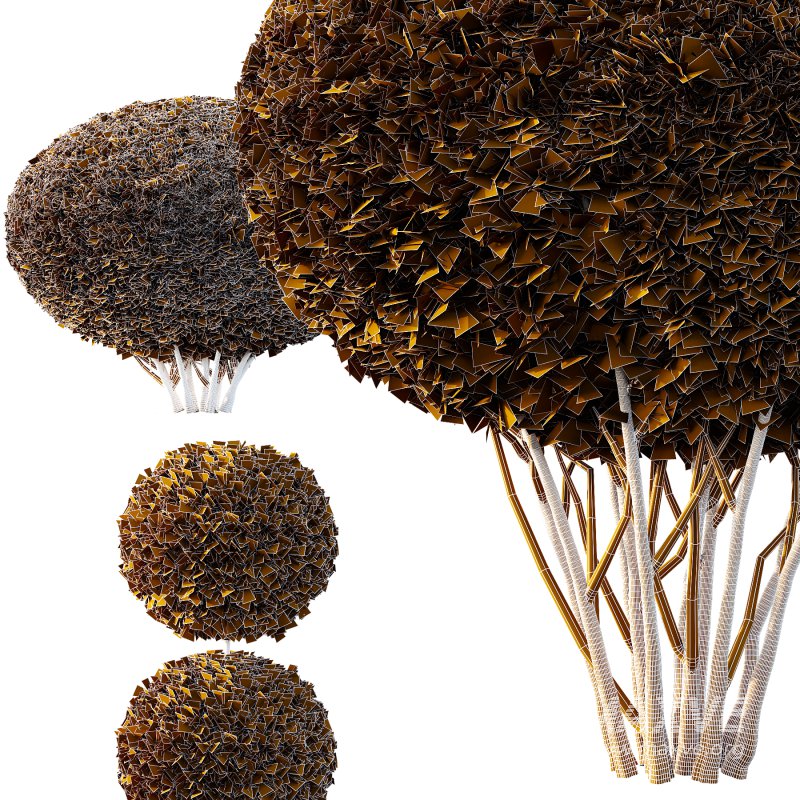 Pinus Mugo Bush003 - Image 4