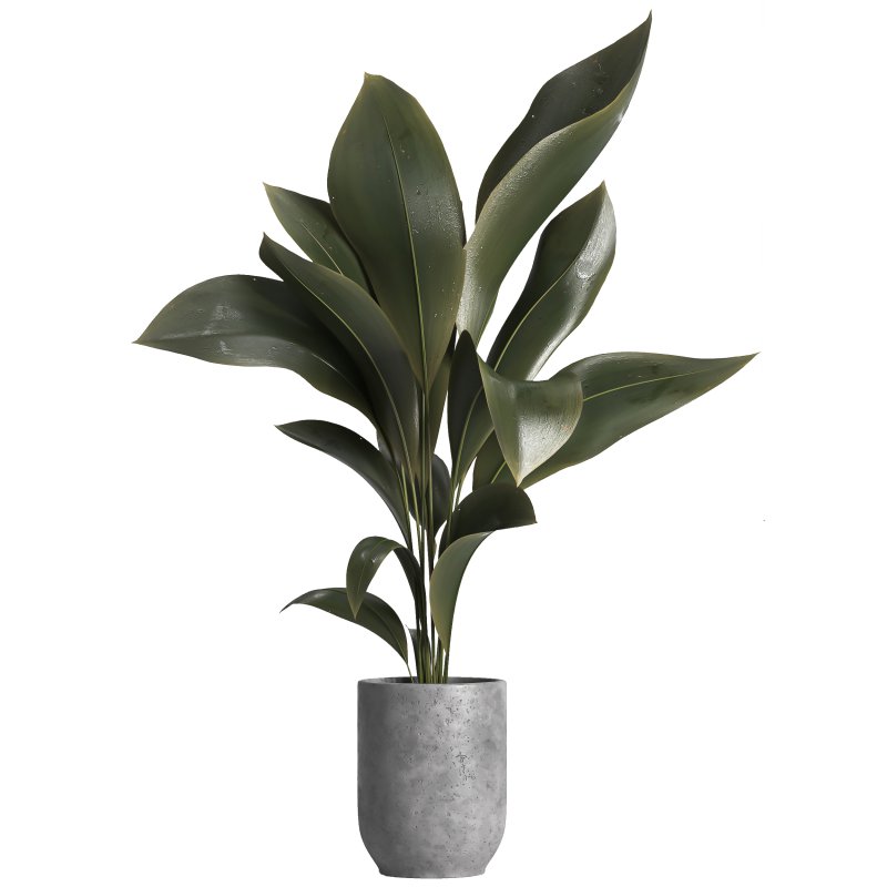 indoor plant 029 - Image 1