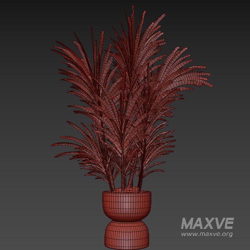 indoor plant 019 - Image 5