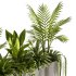 Indoor plants- Hanging Plants in Box- set177 - Thumbnail 5