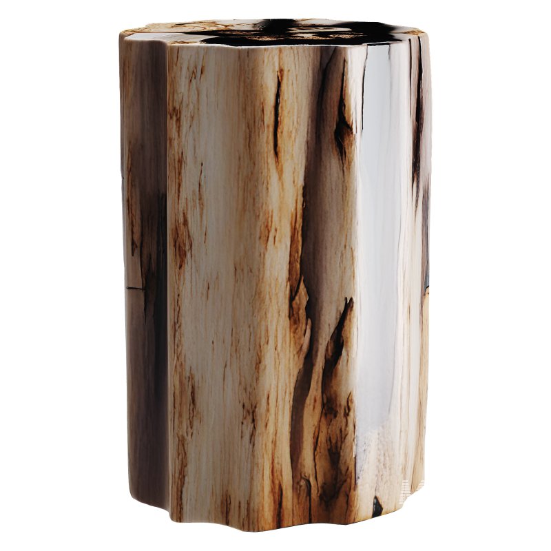 Petrified Wood Side Table - Image 1