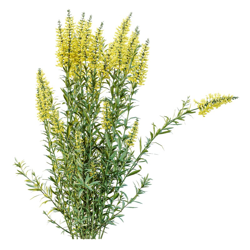 ntal form with architectural realism, ideal for photorealistic renders and naturalistic environments. - Image 3