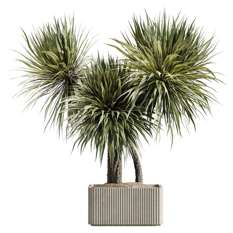 AV Indoor Plants Set 239 Mission Chemlali Olive Spineless Palm Lemon Cane Paradise - Image 3