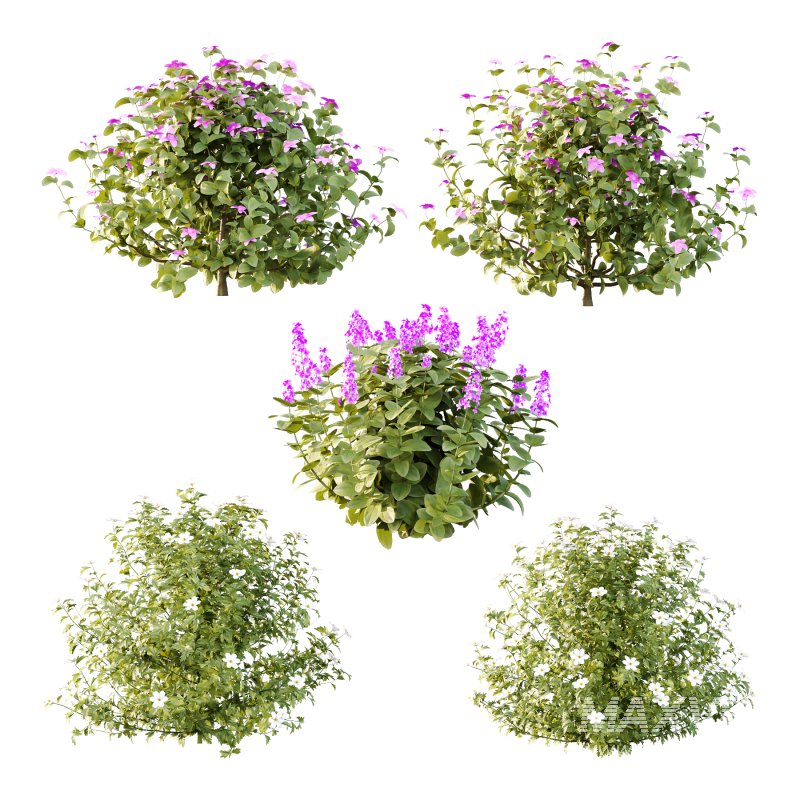 Different bush 15 - Image 1