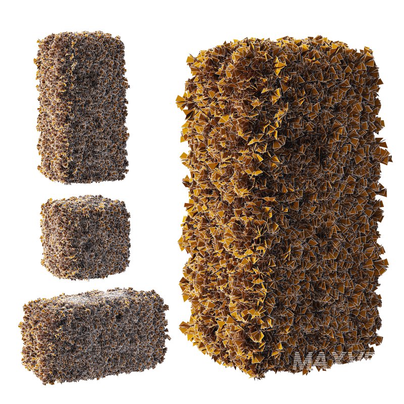 Pinus Mugo Bush002 - Image 5