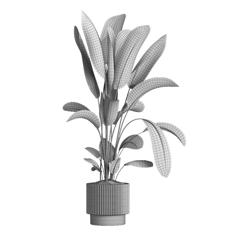 indoor plant 038 - Image 4