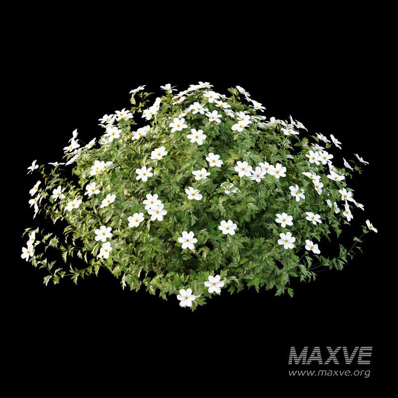 Different bush 18 - Image 1