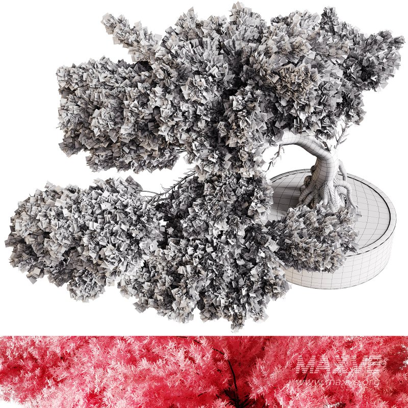 Indoor plants 76 – Plant in pot - Image 1