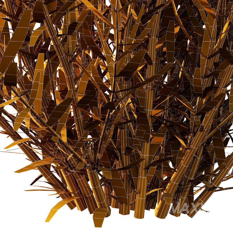 plant bush Flower Lavandula pedunculata 05 - Image 6