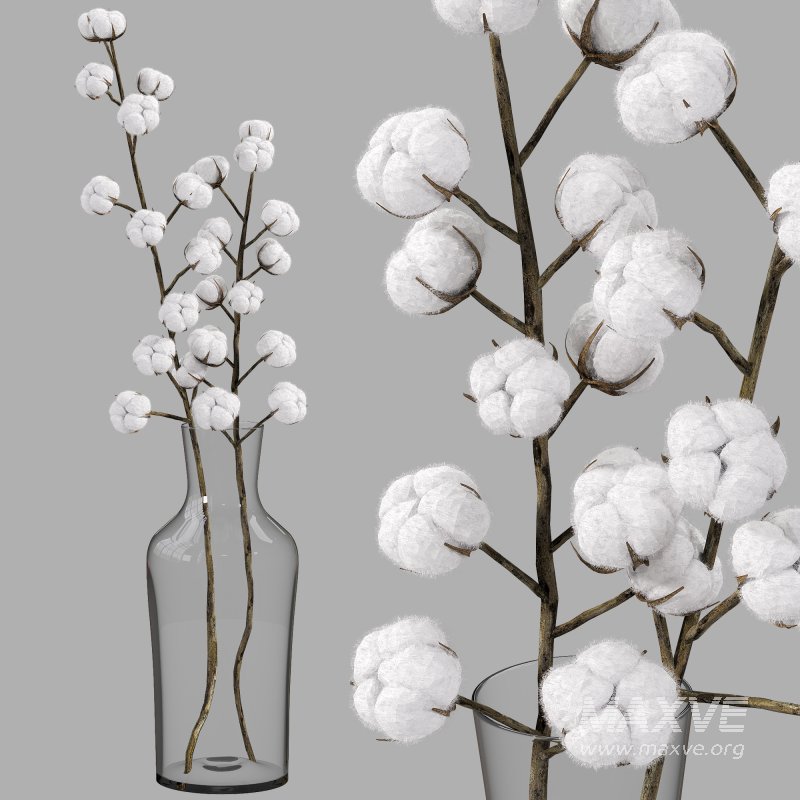 cotton bouquet - Image 4