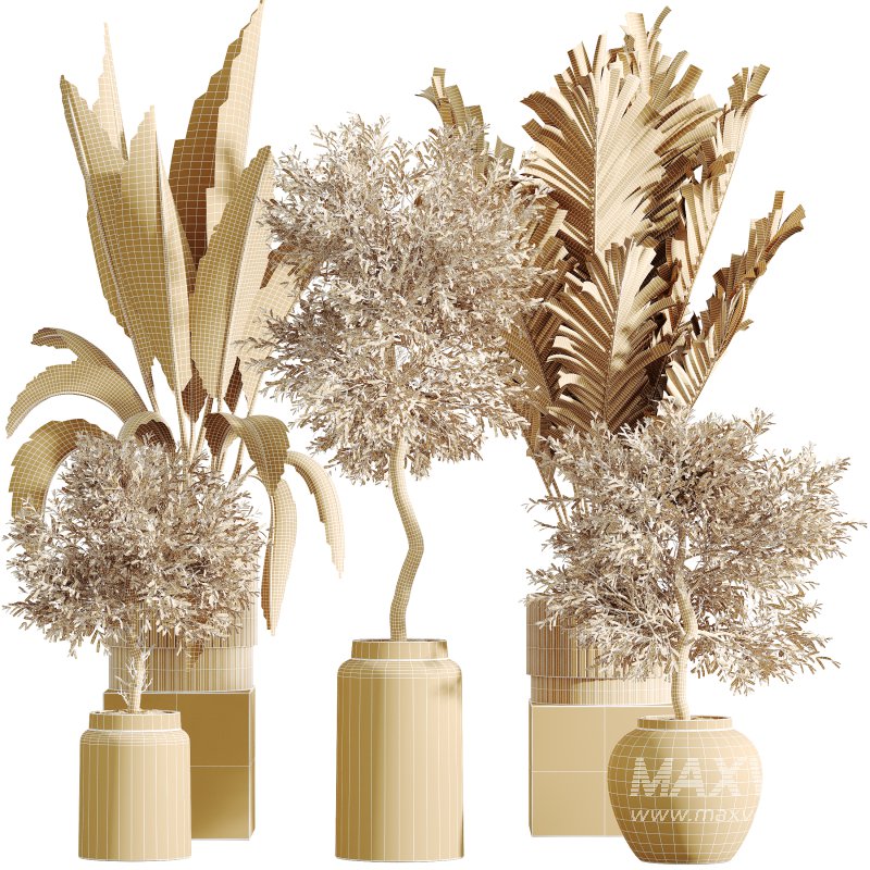 AV Indoor Plants Set 276 Olive Elegant Mission and Banana Strelitzia Nicolai and Areca Palm - Image 8