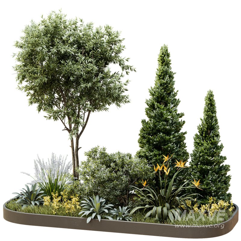 Outdoor Plant 44 - Image 2