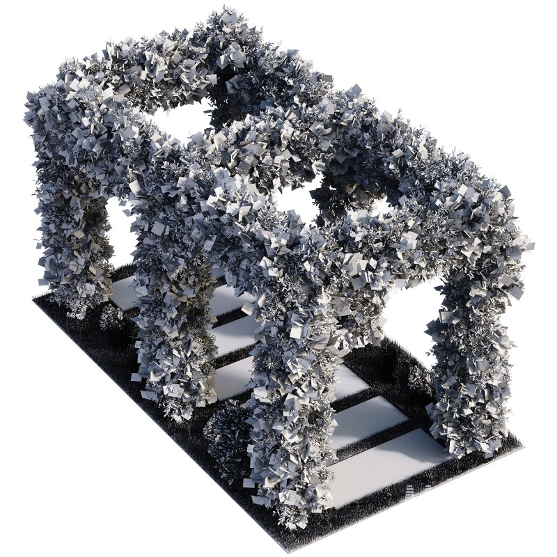 OutDoor plants – 4 Pergola plants set - Image 1