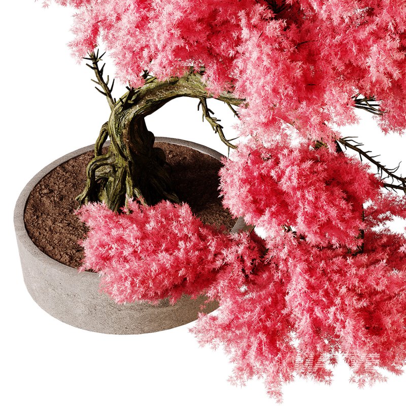 Indoor plants 76 – Plant in pot - Image 2