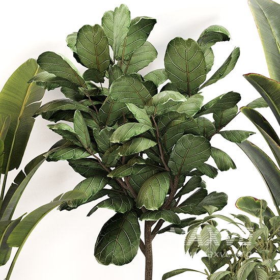 Indoor Plant Set 0159 - Image 3