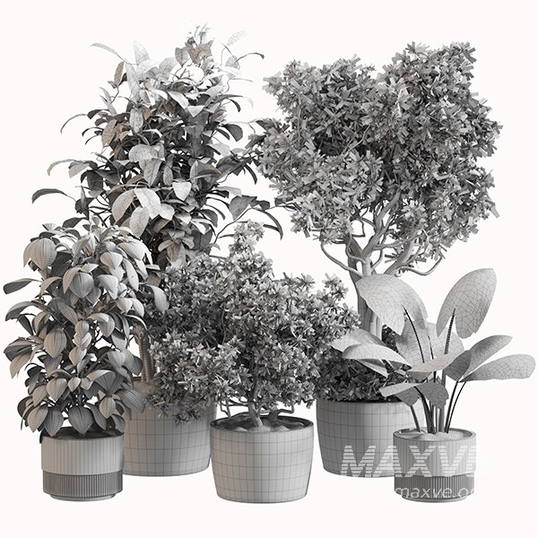 Indoor Plant Set 0152 - Image 5