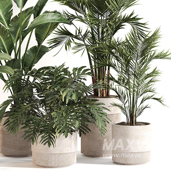 Indoor Plant Set 0156 - Image 3