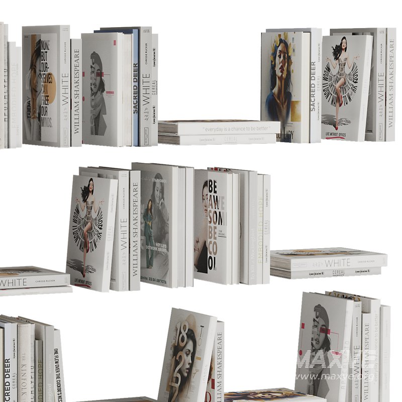 Set of Books V8 - Image 3