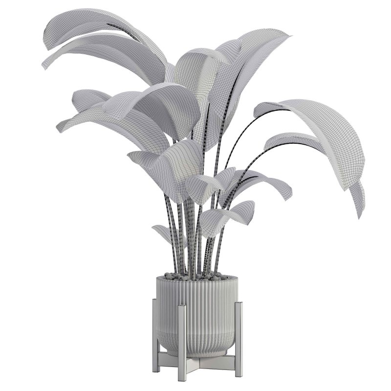 Indoor Plant 02 - Image 4