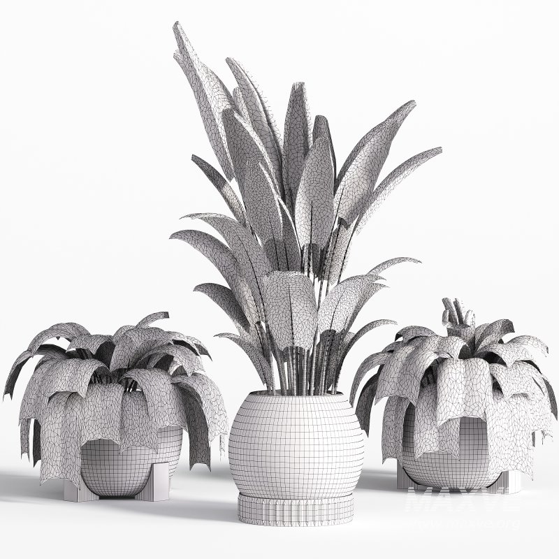 Indoor plant set with plant tree concrete dirt vase 02 - Image 4