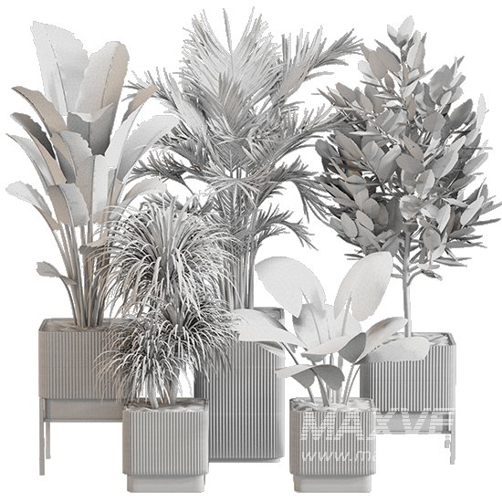 Indoor Plant Set 0157 - Image 5