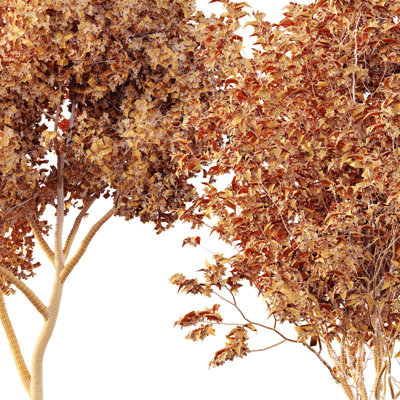 AV Spring blooming trees Butterfly Orchid Geranium Bauhinia and Amelanchier Lamarckii - Image 5