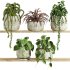 plants set on shelf - Thumbnail 1