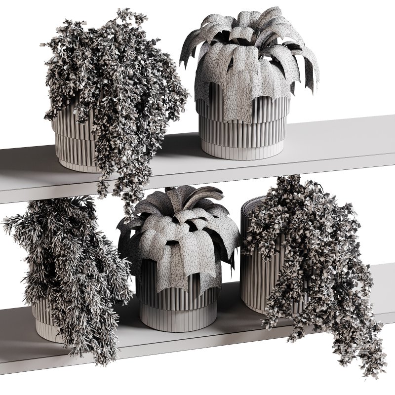 indoor plants 98- Hanging indoor plant - Image 5